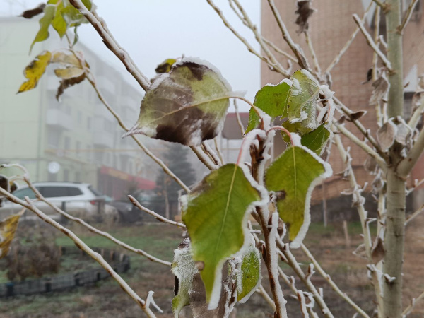 В Самарской области грядут первые майские заморозки